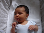 DSC00767.jpg