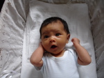 DSC00777.jpg