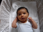 DSC00778.jpg