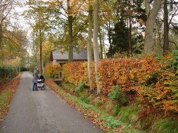 DSC00946.jpg
