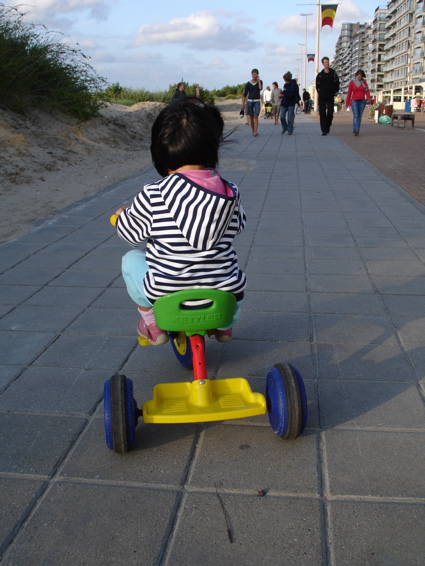 DSC06484.jpg