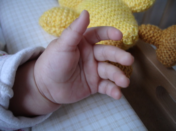 Hand.jpg