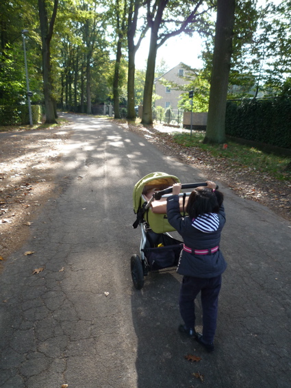 P1010435.jpg
