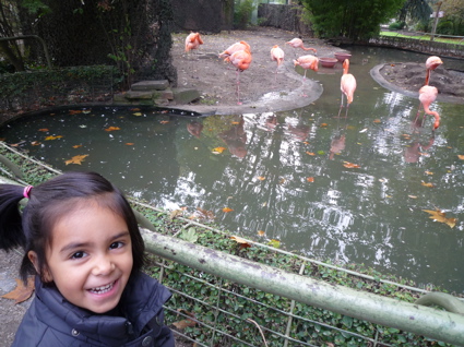 P1010484.jpg