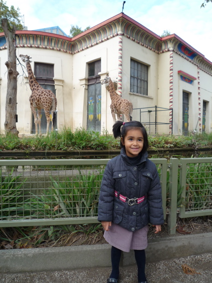 P1010488.jpg