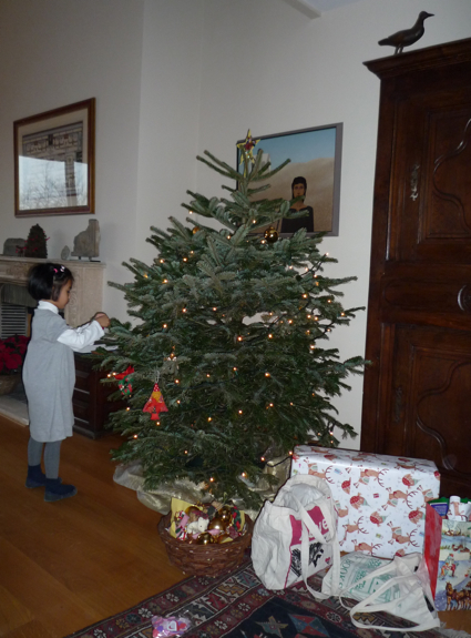 P1020178.jpg