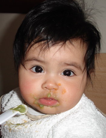 Puree.jpg