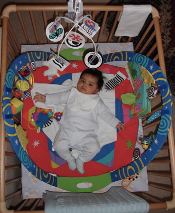 playpen.jpg