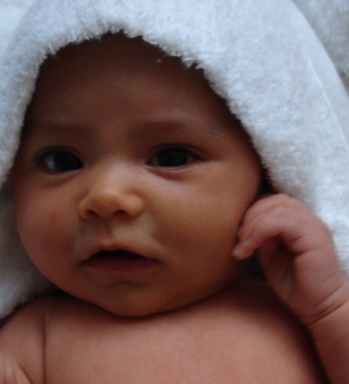towel.jpg